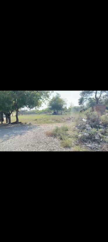 Kommersiya daşınmaz əmlakı: Kənd təsərrüfatı — 1