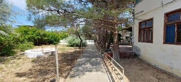 kiridit ev: Sahəsi geniş, yaşıllaşdırılmış həyəti olan bina. Həyətdə ağaclar — 3