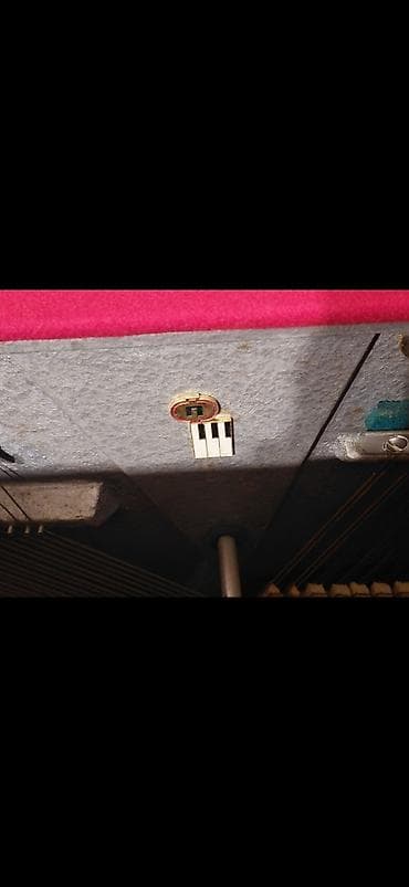 Zərb alətləri: Piano, Belarus, Akustik, İşlənmiş — 4