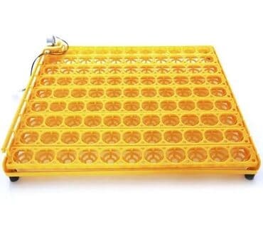 inkubator rus: 98 yumurtalıq latok Matorlu latok Sumqayıt şəhəri 10 cu mkr Xəlifə — 4