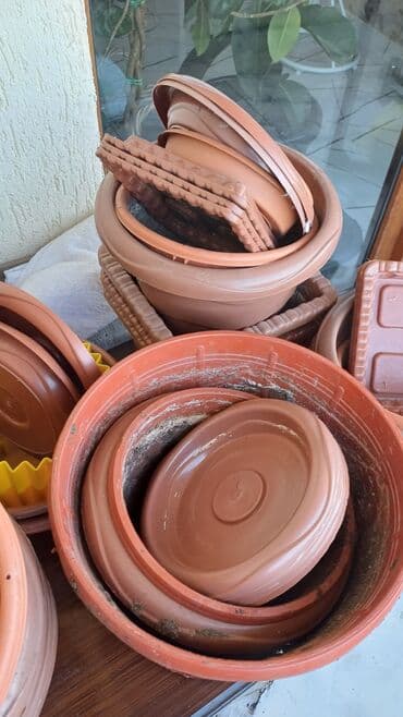 Digər bitkilər: 50eded.hamsi 20 azn — 4