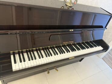 silikon piano: Пианино, Акустический, Б/у, Самовывоз — 3