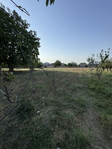 binəqədidə torpaq satılır: Torpaq satılır – 13 sot | Gəncəyə yaxın 📍 Gəncə şəhərinə cəmi 2 km — 7