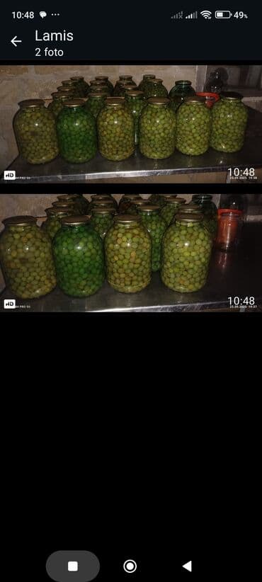 ilan yağı apteklerde: Zeytun balonla satilir .İri yağlı zeytundu.Balonu 12 manat — 1