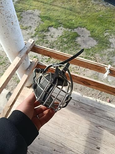 it kemeri: Məhsul: İt üçün metal ağızlıq (maska) Xüsusiyyətlər: - Güclü metal — 3