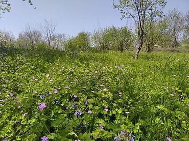 ismayıllı torpaq: 20 sot, Tikinti, Mülkiyyətçi — 3