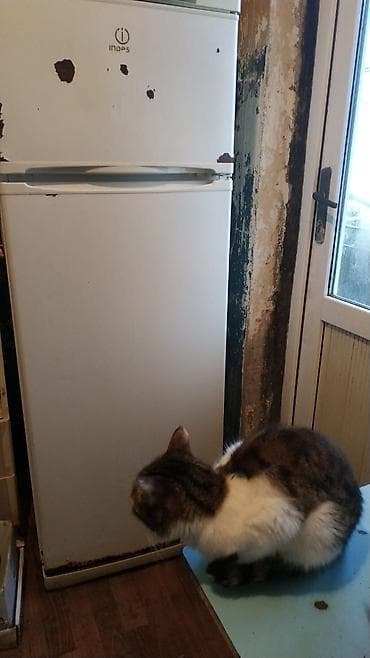 2 qapılı Indesit Soyuducu Satılır