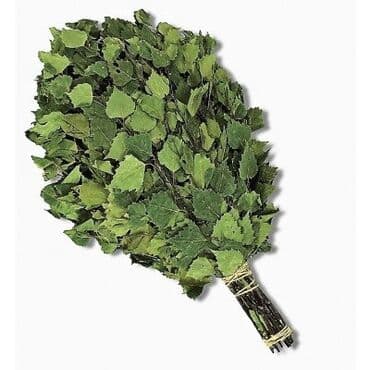 ведро для бани: Sauna süpürgəsi, sauna üçün süpürgə, sauna venikləri, sauna üçün — 1