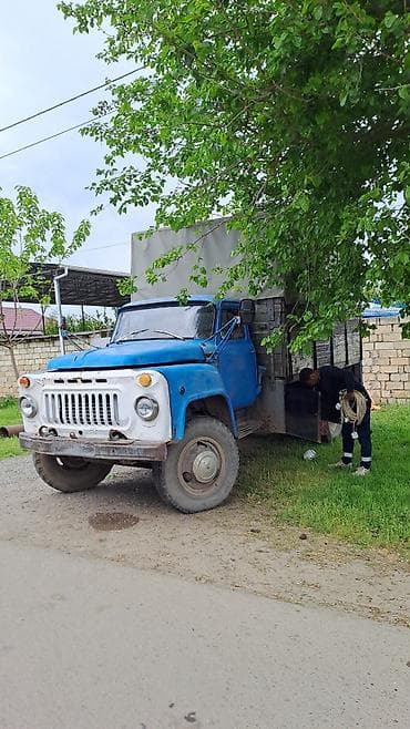en ucuz pencere: Yüklərin daşınması üçün tentli yük maşını xidməti - Geniş bortlu — 1