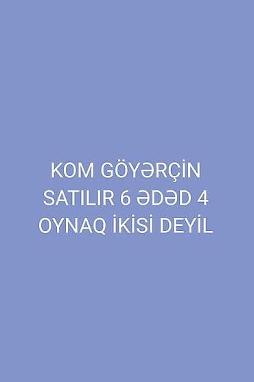 тап аз птицы: Kom göyərçin dəsti - Ümumi say: 6 ədəd - Xüsusiyyət: 4-ü oynaq, 2-si — 1