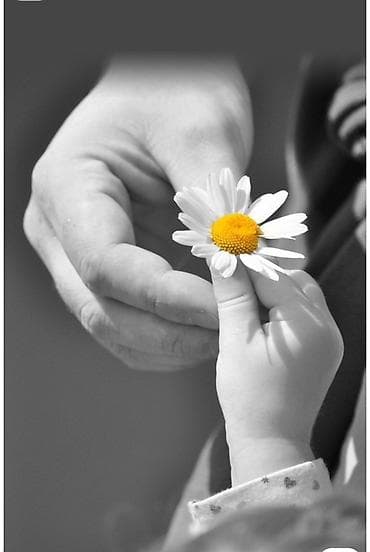 daye: Salam xanimlar Oz evimde uşağa baxiram 1 yaşa qeder olan uşaglara 10 — 2