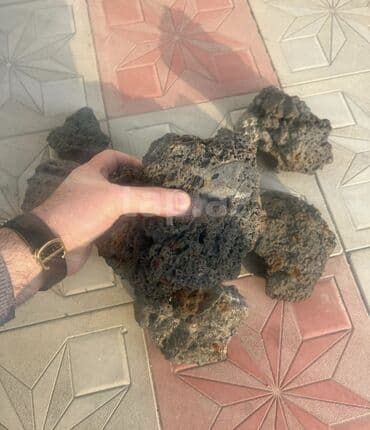 Ütüləmə lövhələri: Vulkanik lava daşları akvarum üçün ela dır suyu durludur akvarumda — 2