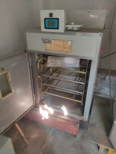 inkubator: 2eded inkubator 352 ededlik 300 azn 2nci 400 ededlik radiozavod — 1