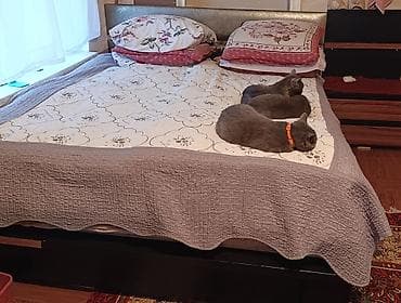 ikinc el qapi lalafo az: İkinəfərlik çarpayı, Termo, 2 tumba, Türkiyə, İşlənmiş — 1