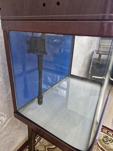 akvaryum baliqlar: Akvariun Zavod istesalidi 100 Litirdi Qiymet 120 azn — 9