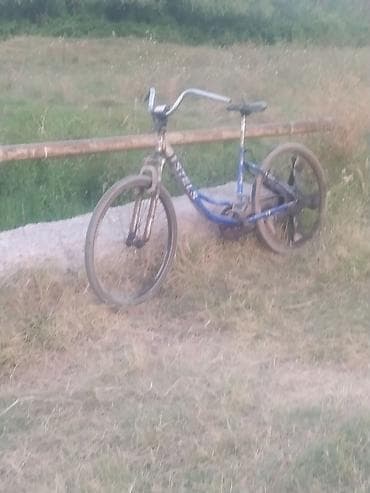 cube velo: Şəhər/ kənd gəzintiləri üçün sadə velosiped - Rəng: mavi gövdə, qara — 2