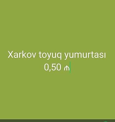böyürtkən və moruq: Məhsul: Xarkov toyuq yumurtası - Cins: Xarkov (yumurtaverən — 1