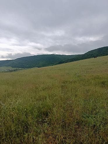 300 sot, Biznes üçün, Barter mümkündür, Kupça (Çıxarış) — 1
