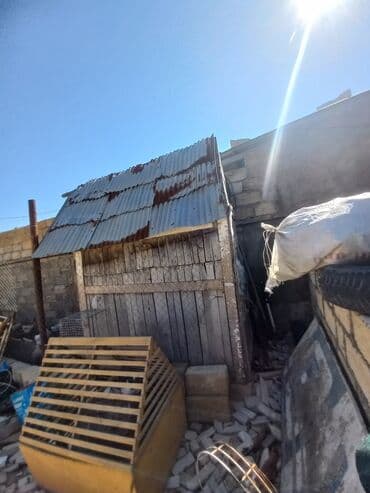 it yuvası: Salamaleykum gördüyünüz qus veya it toyuq cuce bütün heyvanlara uygun — 2