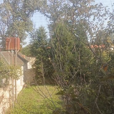 что такое şahdağ i̇stirahət evi nabran: Продается Дом Набрани. Центральная улица за отелем Сансет Форест.Дом 4 — 13