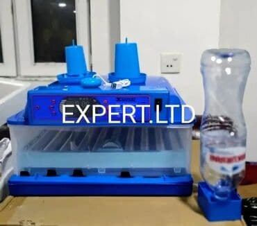 col quşu: Smart-rejimli inkubatorlar satılır. İnkubatorlar tam avtomat,təmiz — 26