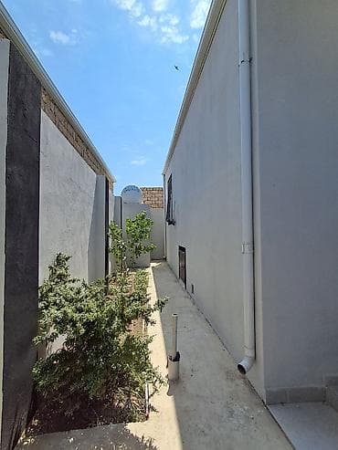 binə sovxoz: 3 otaqlı, 70 kv. m, Kredit yoxdur, Yeni təmirli — 4