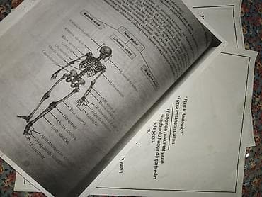 Plastik anatomiya üzrə çap materialları və konspektlər ve imtahan — 1