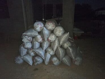 dibcək gulləri ev gulleri ve adlari: Toz halinda mal peyini - kisesi 2,60 q. ( boyuk kepek kisesinde) — 8