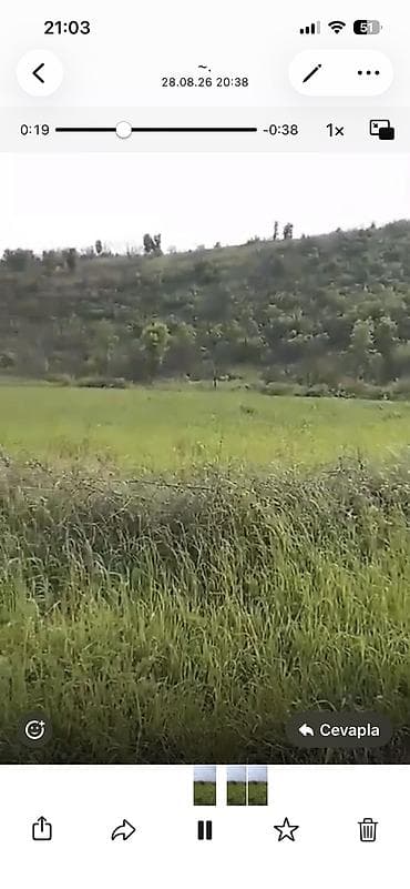 Quba seherinin deveci rayonu Zeyve kendi Devecinin alt yaninda 1hektar — 2