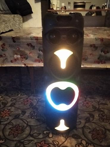 Portativ partnyor səs sistemi – güclü basslı böyük akustik kolonka