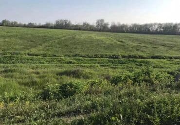 bina evləri bakı: 1500 sot, Kənd təsərrüfatı, Mülkiyyətçi, Kupça (Çıxarış) — 4