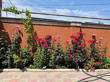 kiraye ev zabratda: Zabrat 3 otaqlı, 100 kv. m, Kredit yoxdur, Yeni təmirli — 9