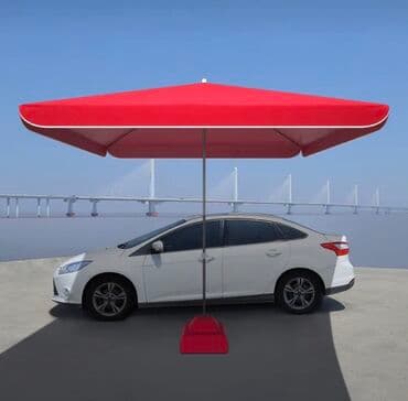 işlənmiş zontiklər: Zontik — 1