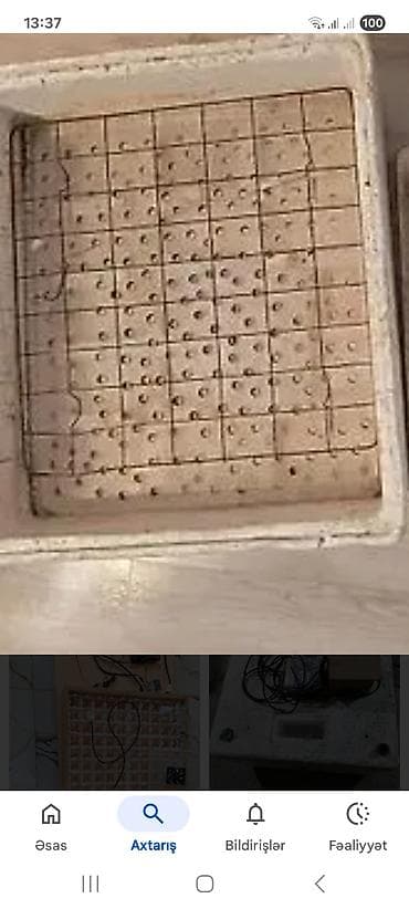 Restoran, kafe avadanlığı: Bütün növ quşlaq üçün — 2