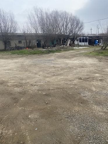 icare ofis: Satışa uyğun təsərrüfat/istehsalat sahəsi - Tikili: Bir mərtəbəli — 9