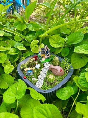 quru odun: Miniatür sukulent/teraryum kompozisiyası – “Bağ evciyi” mövzulu - — 2