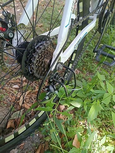 Crolan 808 dağ velosipedi - Çərçivə: Alüminium, ağ rəng, mavi-boz