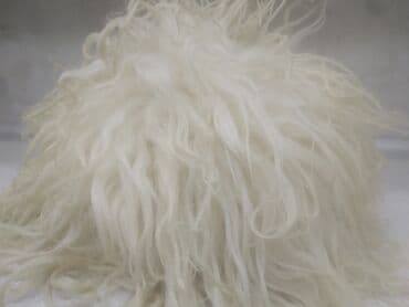 Məhsul: Ağ, uzun telli təbii yun dəstə Təsvir: - Təbii qoyun yunu