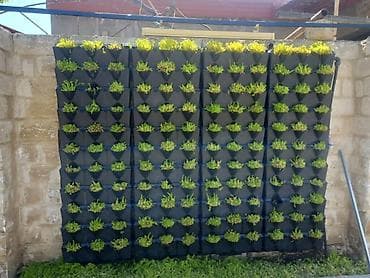 Горшки для растений: 🔹 Mini Garden (Vertical Green Wall) – Portuqaliya istehsalı Layihə — 4