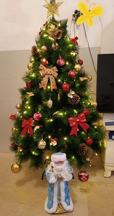 wam agaci: Sam aqaci 1.50 sm.uzerinde wiwka iqruwkalar,bantik,20m tenzimlene — 1