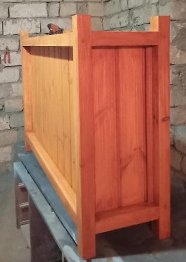 Саженцы деревьев: 100x30x50dipcek Bitki elave hesablanir Bitkinin hundurluyu 60-70sm — 5