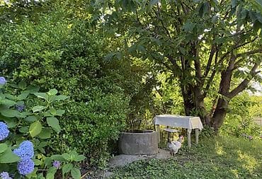 bayılda ev: Zaqatalada həyət evi kiraye verilir — 5