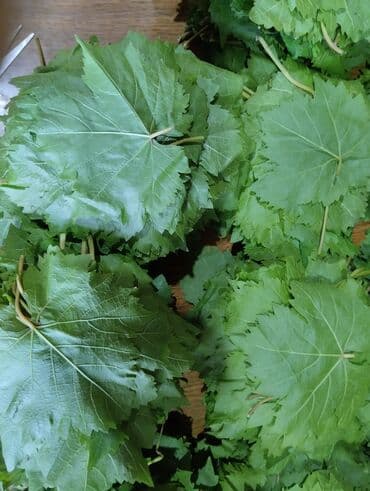 meyve sekilleri: Dolma hazırlamaq üçün idealdır. Evdə hazırlanmış, təbii — 7