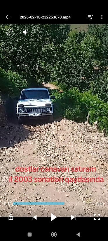 Aksesuarlar və tüninq: Avtomobil: Lada Niva (VAZ 2121) İl: 2003 sənədləri qaydasında” — 2