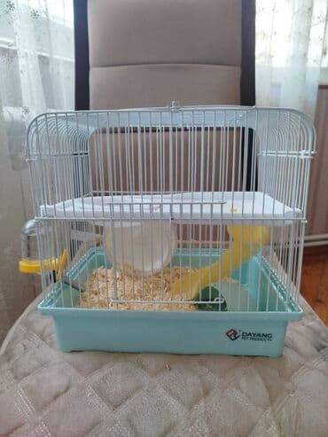 tək qaş: 4 eded xomyak tek tek alinsa 5 azn (baladi) ev ile birlikde alinsa — 1