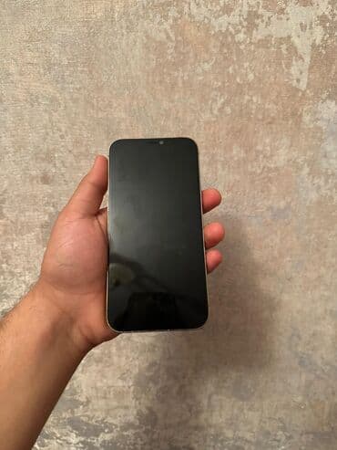 apple iphone 12 pro max: IPhone 12 Pro Max, 128 GB, Qızılı, Simsiz şarj, Face ID, Sənədlərlə — 9