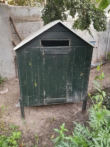 Taxtadan hazırlanmış toyuq hinisi satılır. Hini hündür ayaqlar lalafo.az -da Taxtadan hazırlanmış toyuq hinisi satılır. Hini hündür ayaqlar
