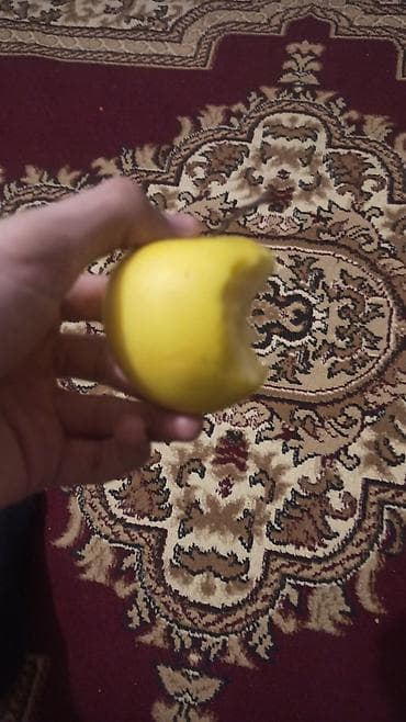 Sarı alma - Növ: şirin və ətirli sarı alma - Forma və ölçü: orta