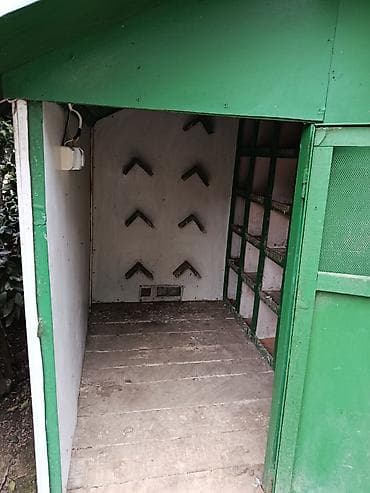 qarderob yuvası: Göy rəngli taxta quşxana/sərçəxana - Material: taxta karkas, taxta — 3