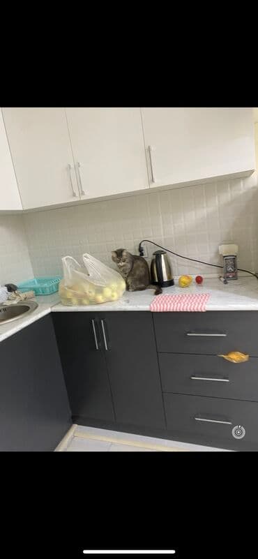 Otaq yoldaşı xanım axtarılır 18 yaşdan yuxarı olsun vesiqeye baxacam